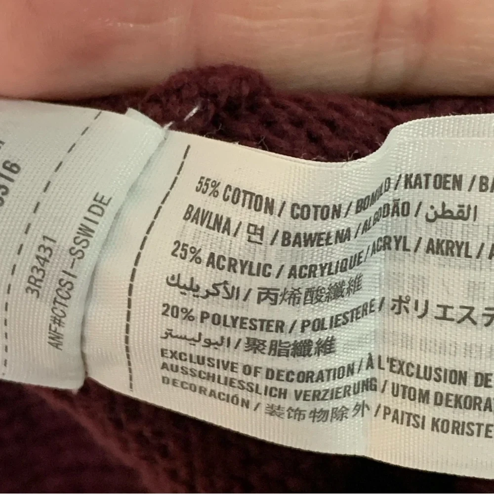 Hollister Native Bear Design V-neck Sweater